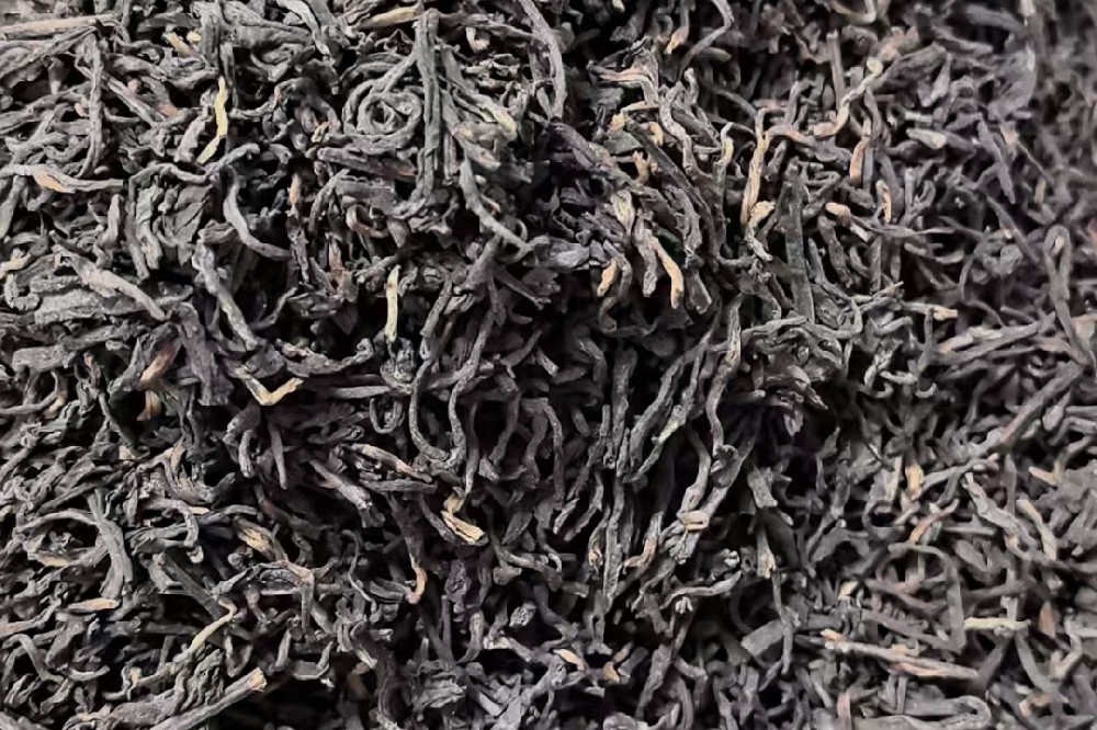 六堡散茶批发商