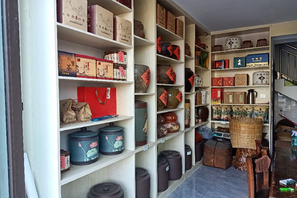 探秘六堡茶祛湿原理:一杯“祛湿大师”的科学与智慧