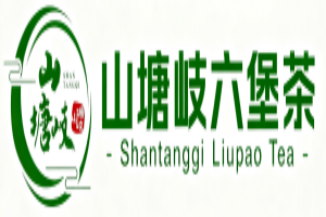 六堡茶真的能分解脂肪与解腻？深入解读其背后的科学奥秘