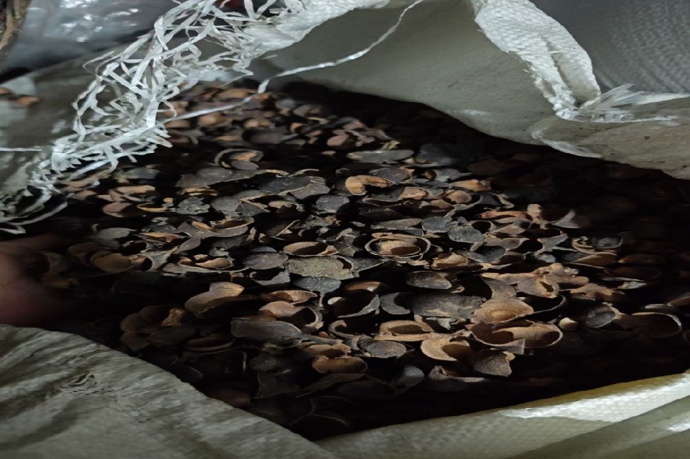 百元左右六堡茶值不值？一篇讲透“黄金性价比带”，新手进阶必看