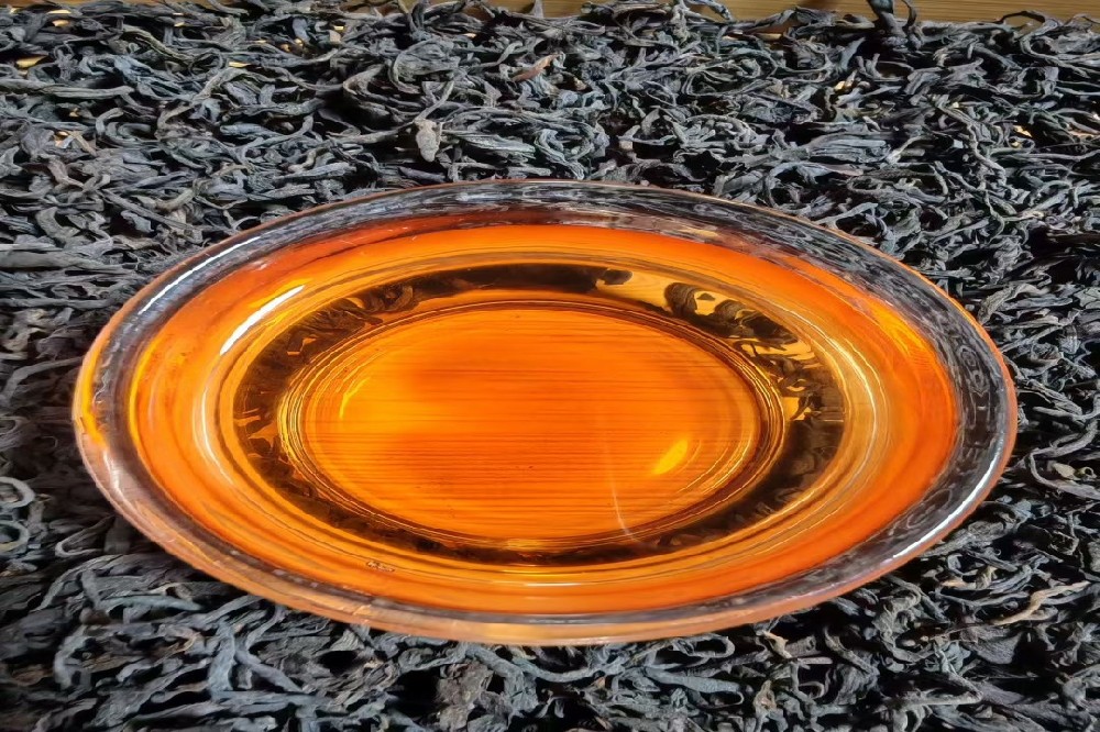 六堡茶除湿效果好吗？对振阳气祛湿邪有很大帮