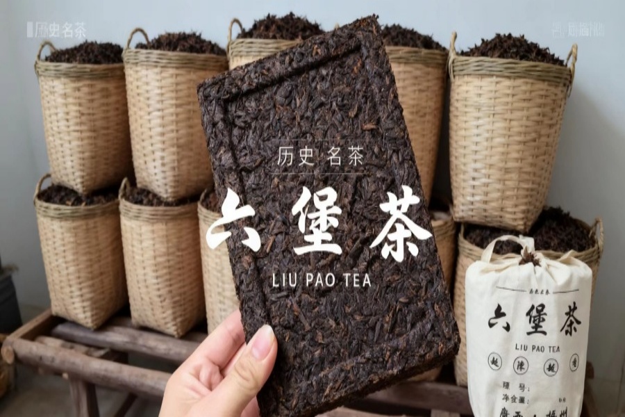 六堡茶：1500年时光淬炼的茶中瑰宝，山塘岐续写古韵新章