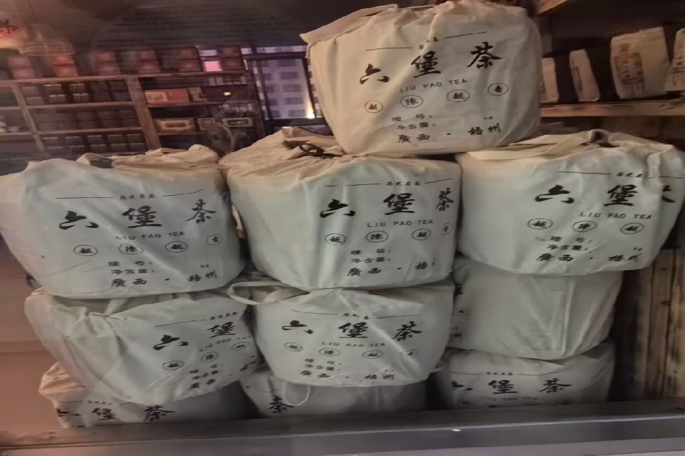 六堡茶茶色素对血管的保护作用探析：山塘岐以自然之力守护心血管健康