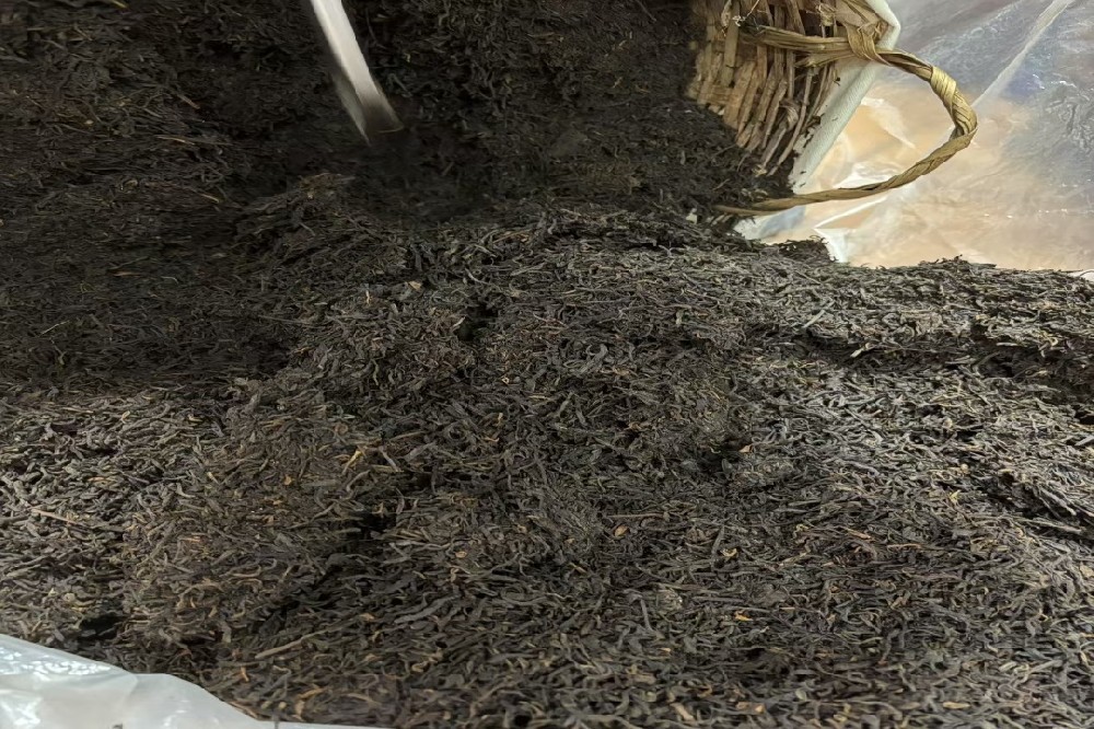 六堡茶调节血脂抗氧化护血管：山塘岐品牌的天然养生选择