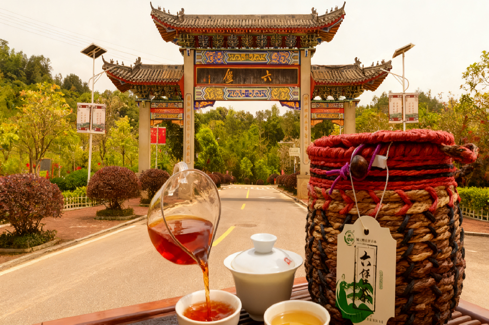 六堡茶改善消化不良：山塘岐匠心茶品，让肠胃重获舒适活力