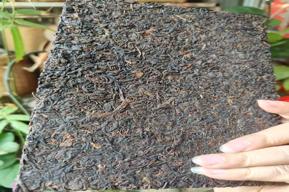 辐照陈化：六堡茶的现代科技赋能，山塘岐以传统匠心守护醇化真谛