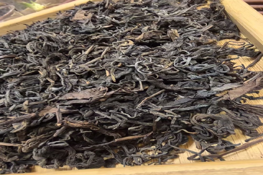 寻味《桐君录》中的茶之起源，解密山塘岐六堡茶的正源之味