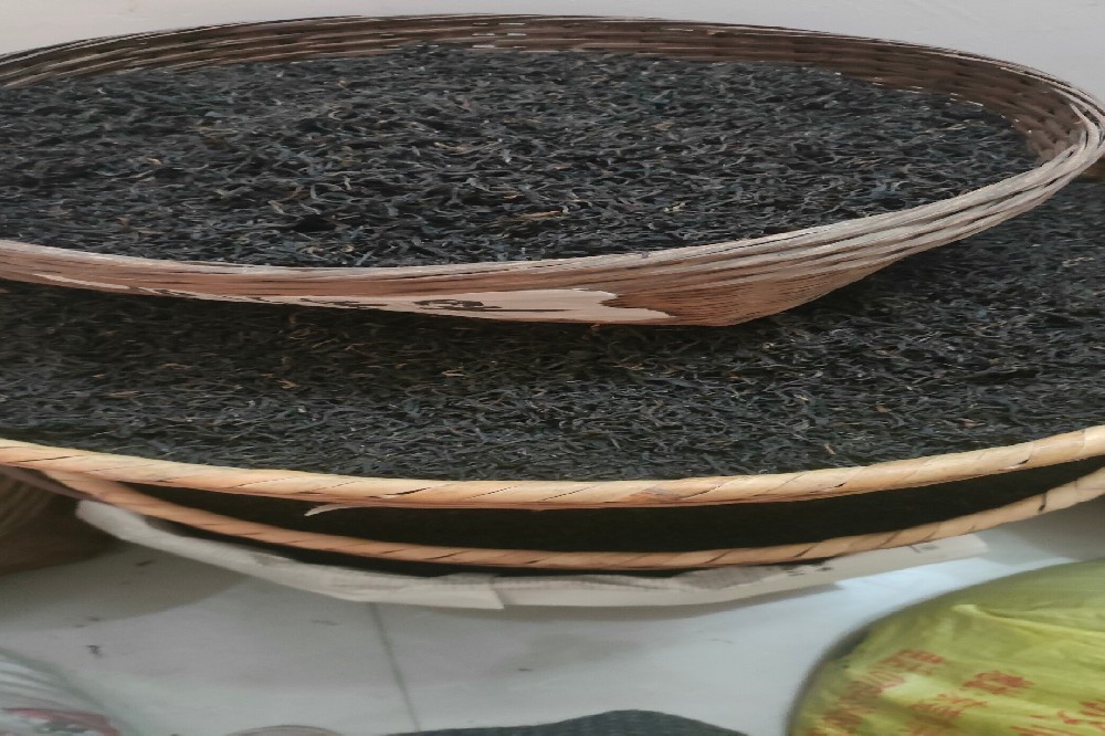 探秘苍梧县六堡山塘岐茶业：源头直供，传承清康熙年间的六堡茶韵