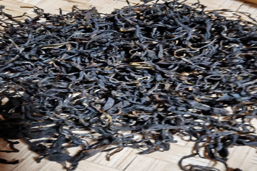 探秘南北朝茶文化：苍梧县六堡山塘岐茶业，源头直供的六堡茶珍品