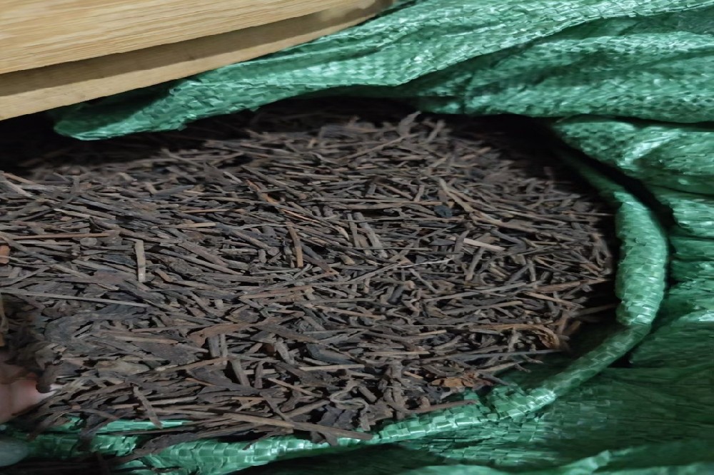 探秘山塘岐六堡茶：源自清同治年间的核心产区，源头直供的匠心之选