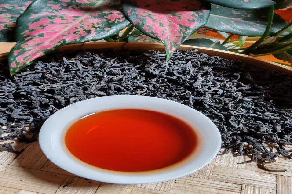 探秘六堡茶核心产区：苍梧县六堡山塘岐茶业有限公司，源头直供，品质保障