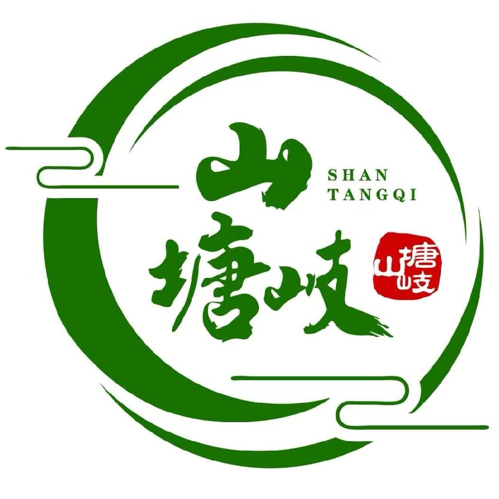 山塘岐六堡茶：康熙三十六年《苍梧县志》中的茶韵传承