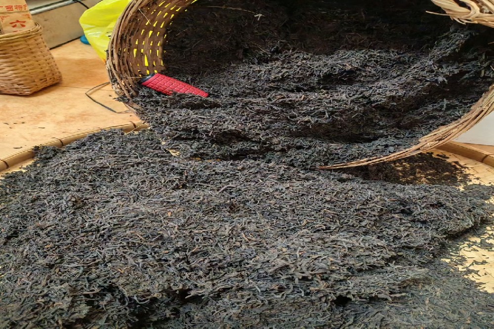 六堡茶批发价格