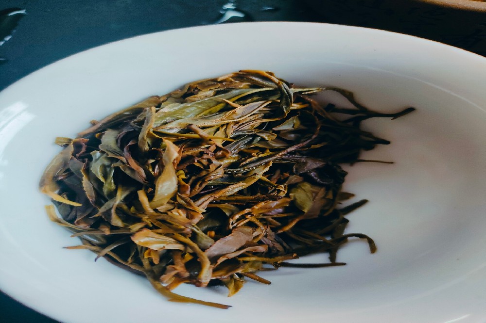 六堡茶除湿效果好吗？对振阳气祛湿邪有很大帮