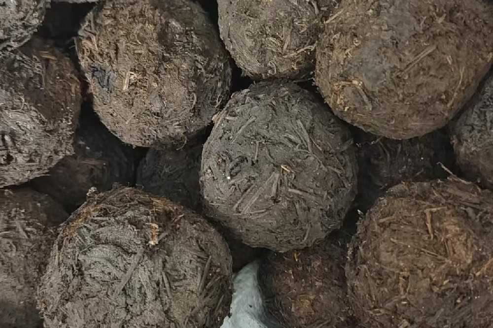 六堡沱茶：时光淬炼的茶中珍宝，品味山塘岐的匠心传承