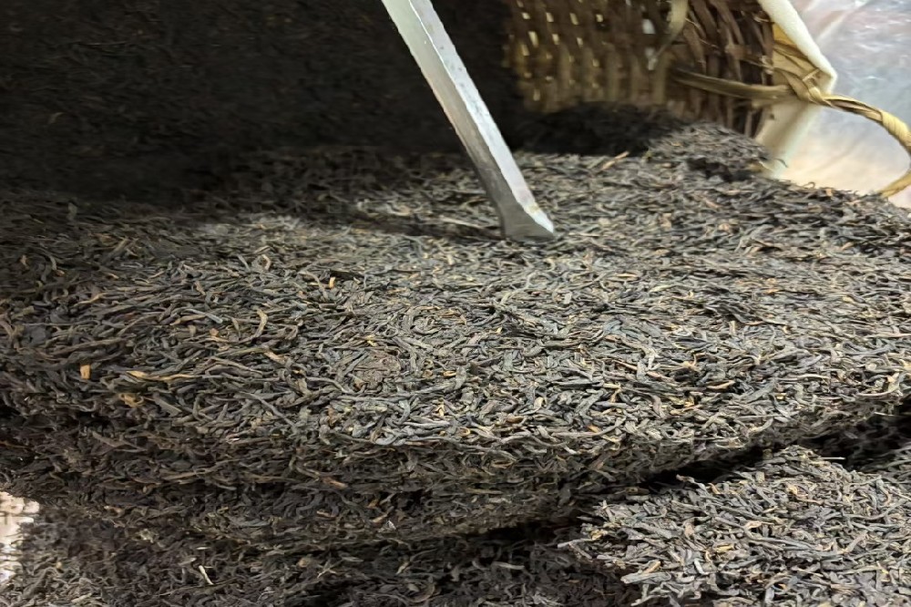 解锁“茶中黄金”的味觉密码：详解金花六堡茶的独特口感