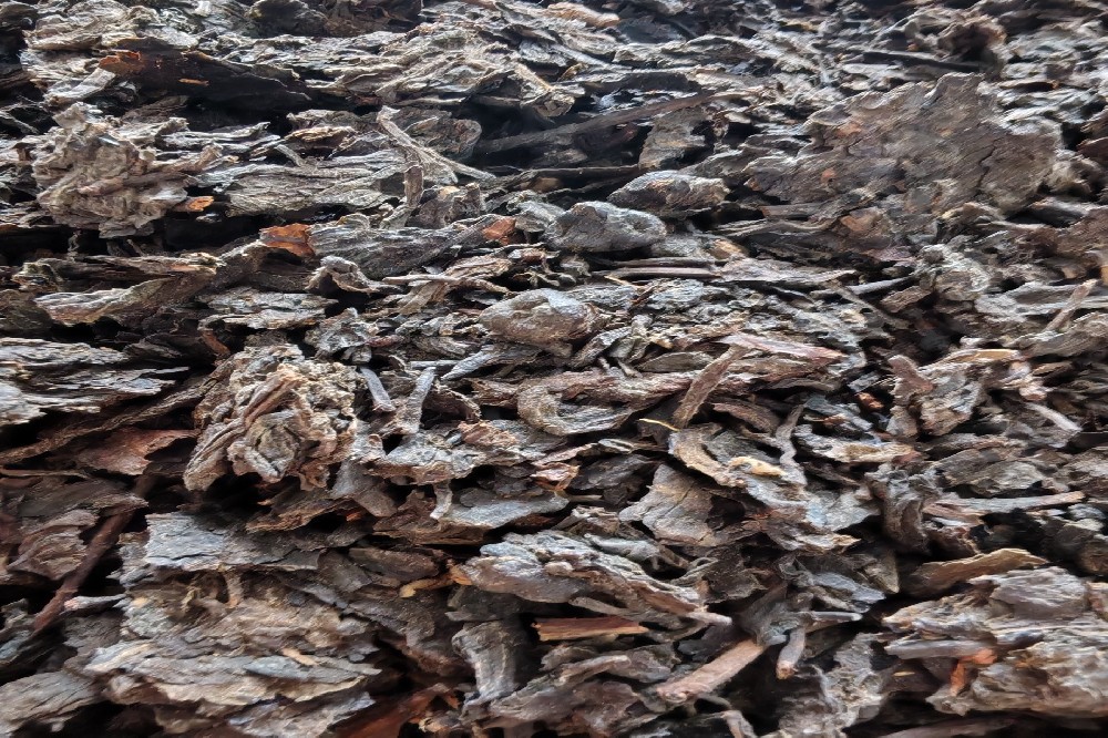 六堡茶香气图鉴：探秘苍梧六堡镇核心产区的味觉盛宴