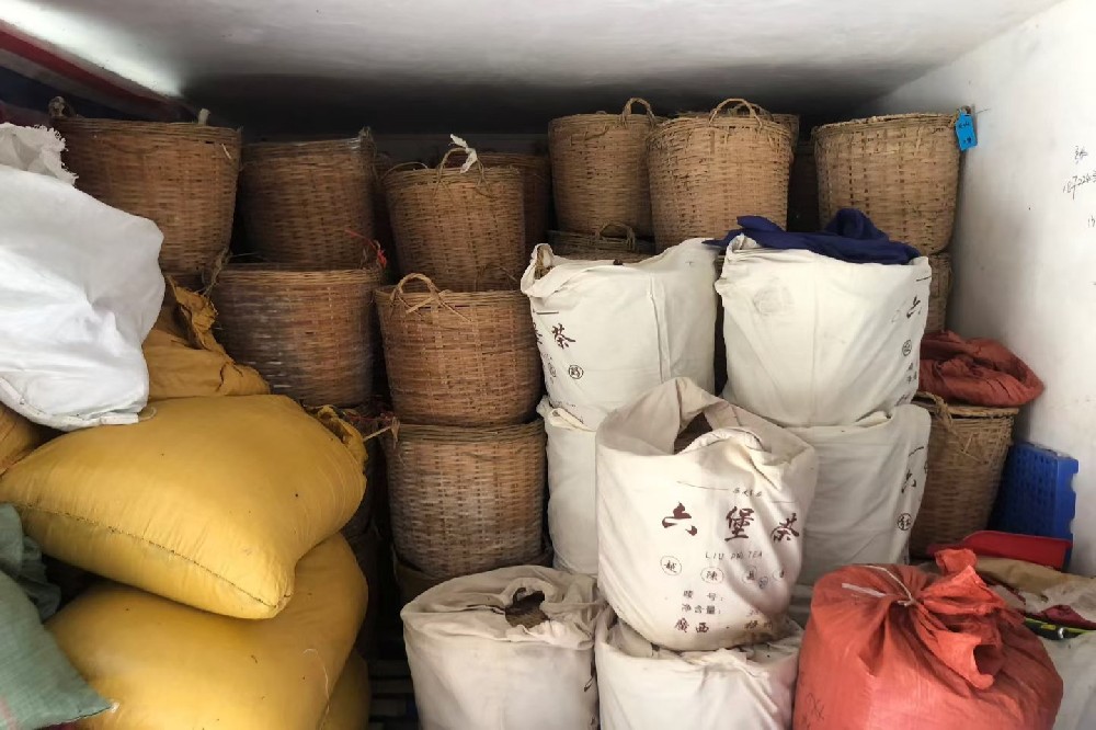 山塘岐品牌六堡茶：来自核心产区的非遗工艺，品味梧州千年茶香