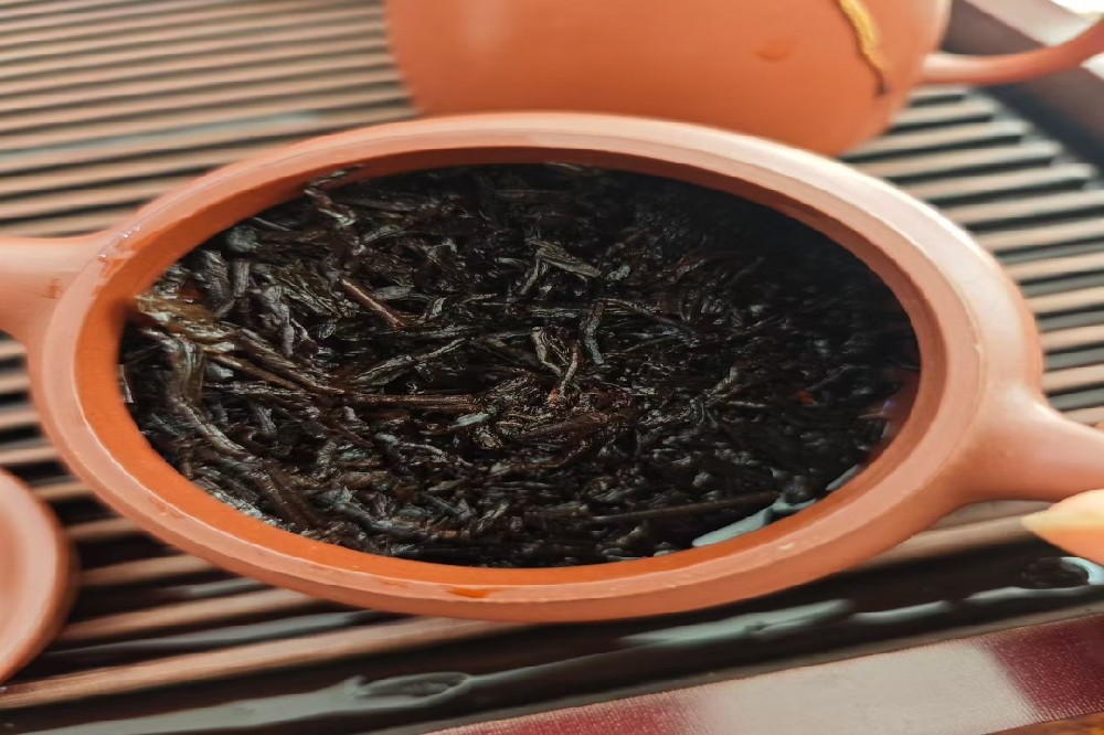 探秘六堡茶核心产区，品一杯正宗“山塘岐”的醇厚韵味