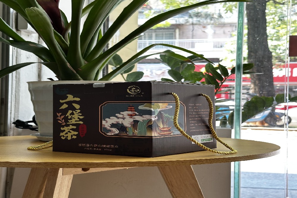 时间的味道，健康的密码：深度揭秘六堡茶的陈年价值
