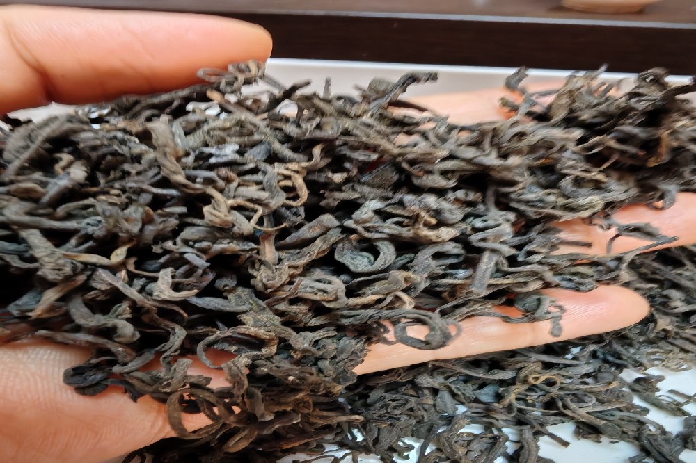 如何辨别正宗六堡茶?山塘岐核心产区厂家教你 5 大鉴别技巧,远离假冒伪劣